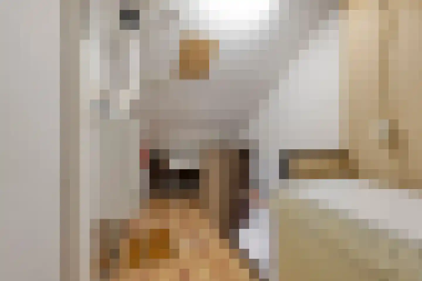 Laagstraat 407 Eindhoven thumbnail 32