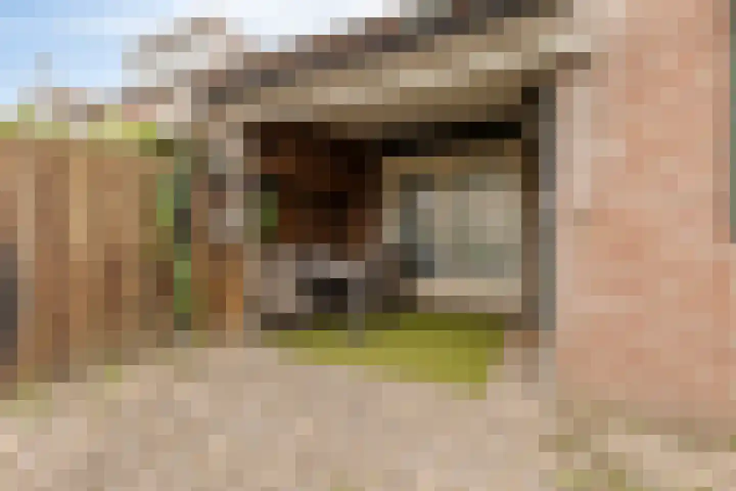 Laagstraat 407 Eindhoven thumbnail 35