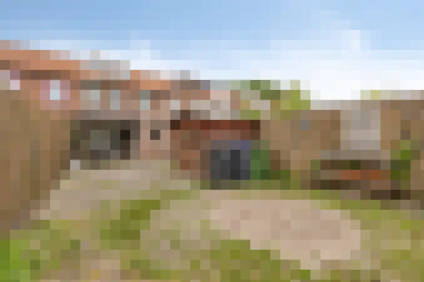 Laagstraat 407 Eindhoven thumbnail 37