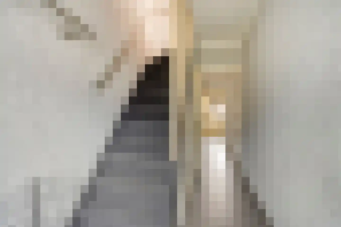 Laagstraat 407 Eindhoven thumbnail 6