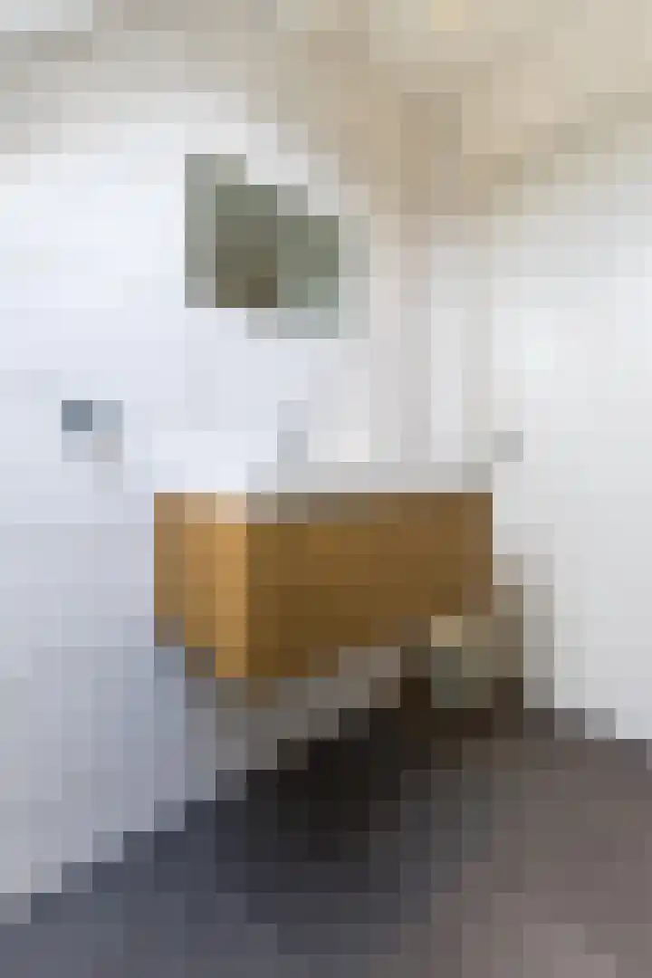 Laagstraat 437 B Eindhoven thumbnail 16