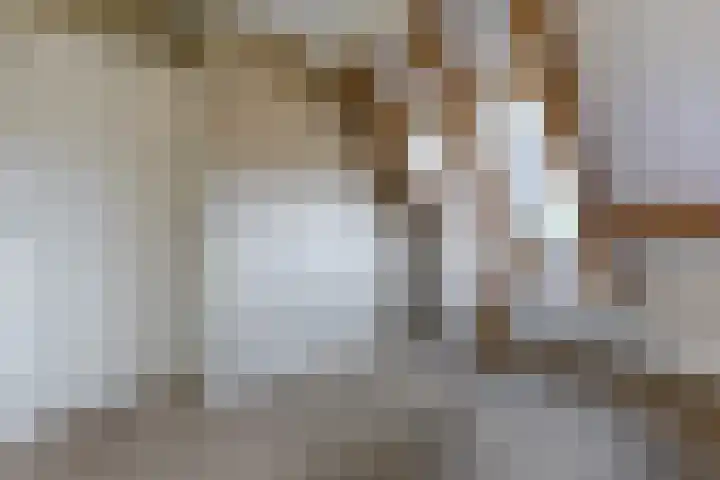 Laagstraat 437 B Eindhoven thumbnail 19