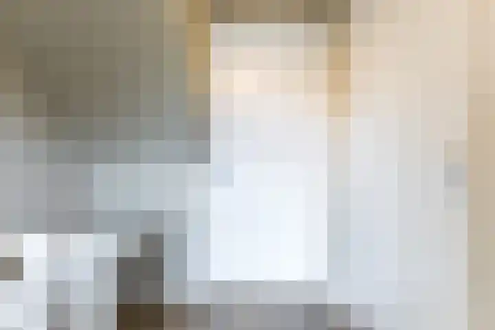Laagstraat 437 B Eindhoven thumbnail 6