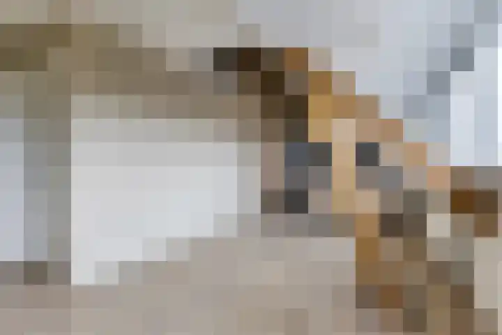 Laagstraat 437 B Eindhoven thumbnail 7