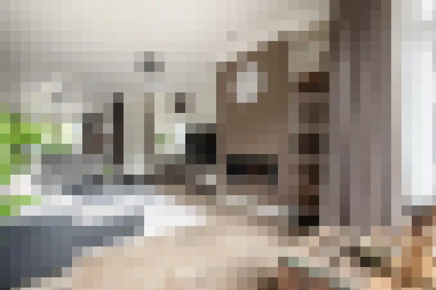 Laagstraat 46 Deursen-Dennenburg thumbnail 14