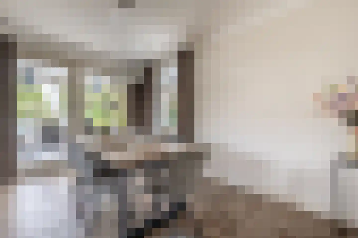 Laagstraat 46 Deursen-Dennenburg thumbnail 18