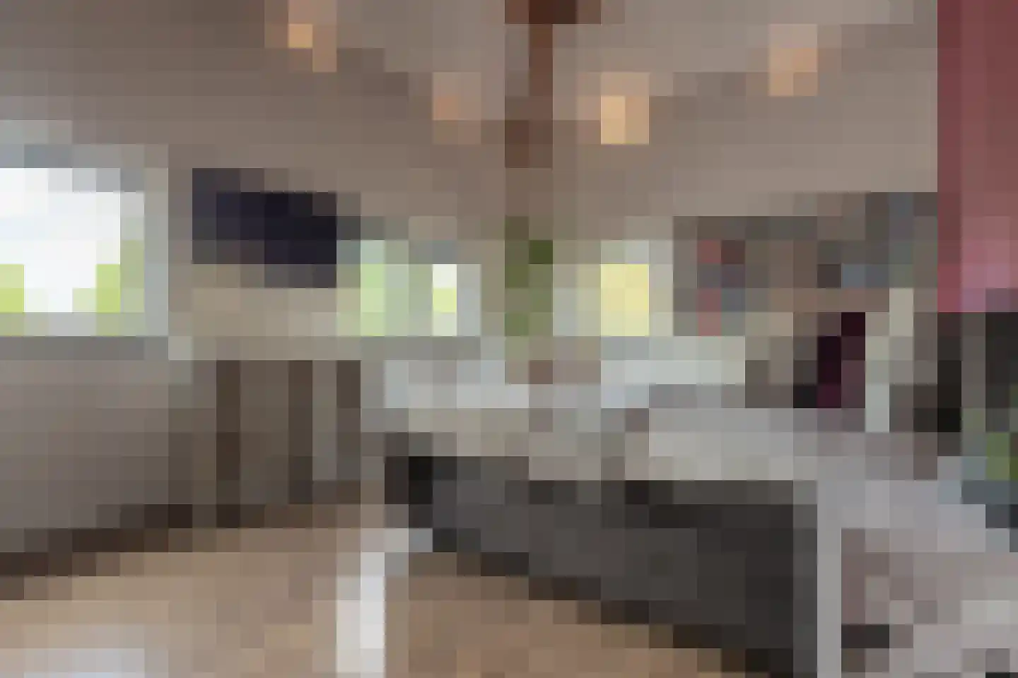 Laagstraat 46 Deursen-Dennenburg thumbnail 32