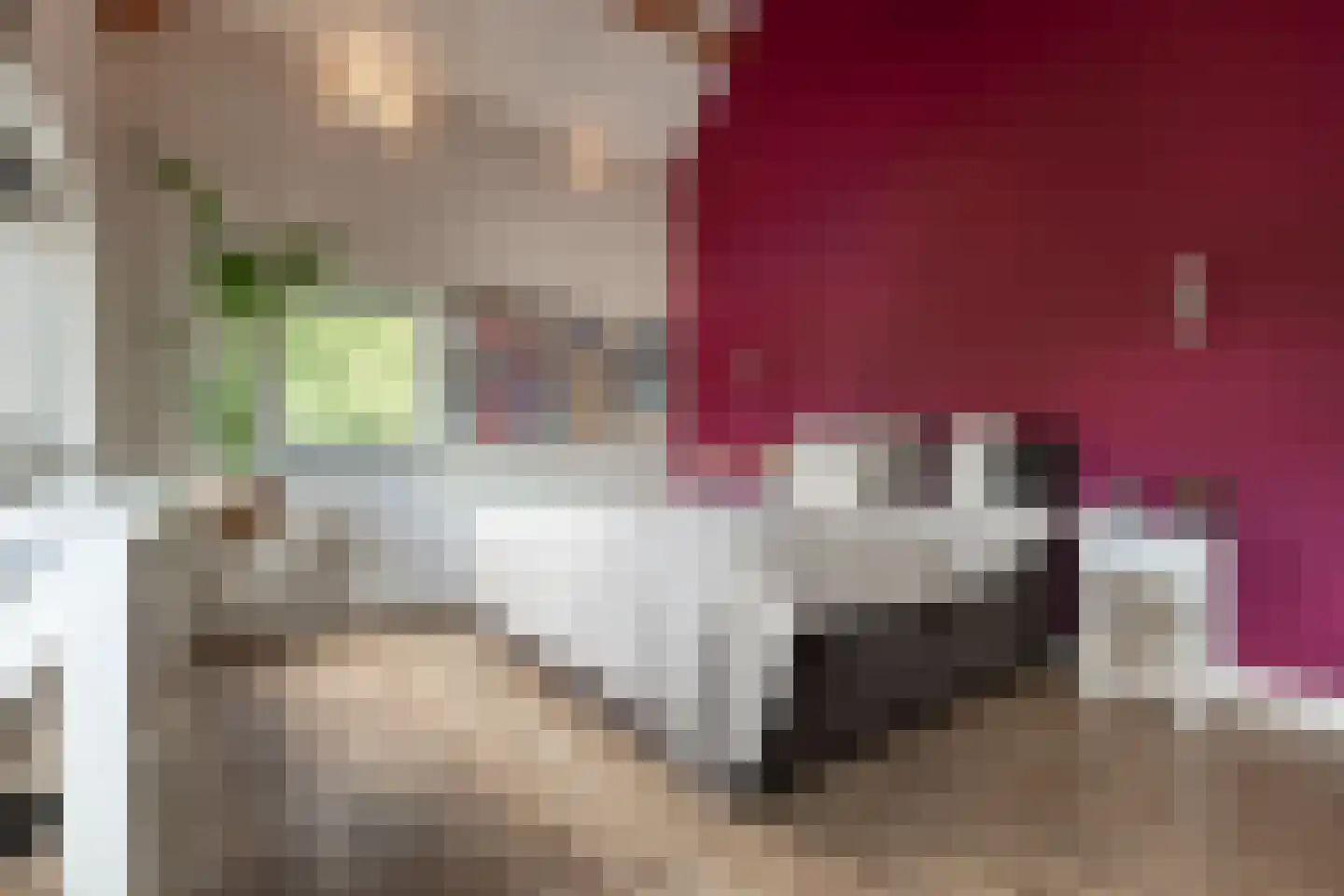 Laagstraat 46 Deursen-Dennenburg thumbnail 33