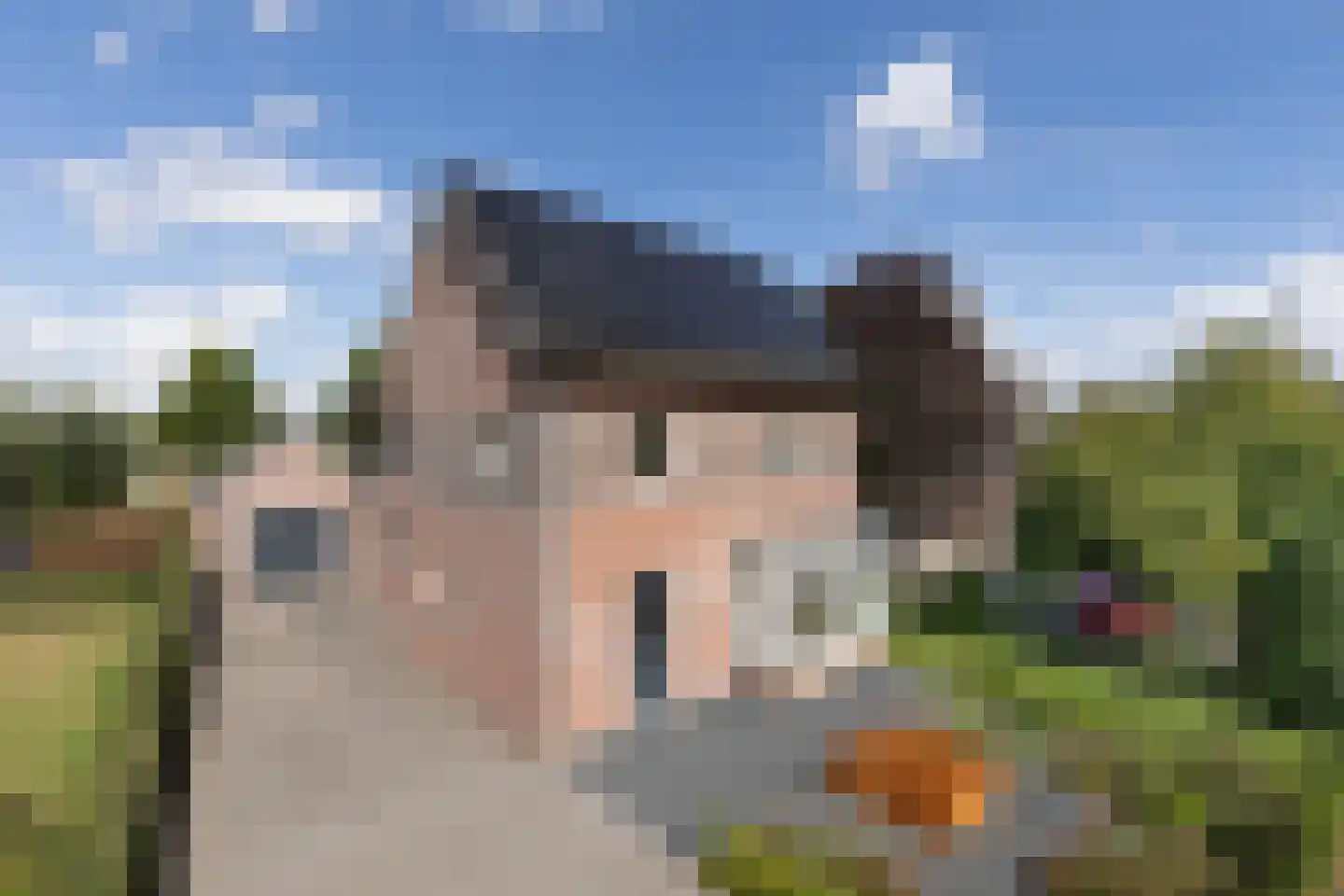 Laagstraat 46 Deursen-Dennenburg thumbnail 4