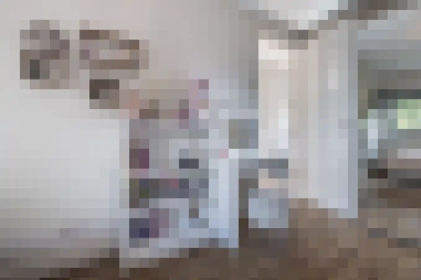 Laagstraat 46 Deursen-Dennenburg thumbnail 47