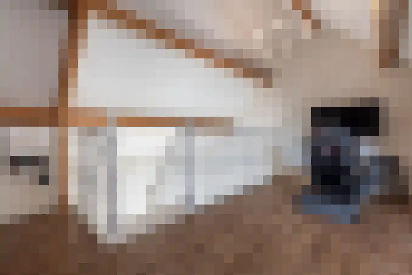 Laagstraat 46 Deursen-Dennenburg thumbnail 52