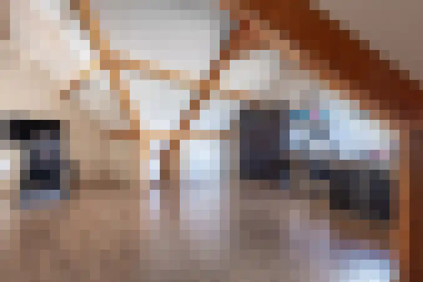 Laagstraat 46 Deursen-Dennenburg thumbnail 53
