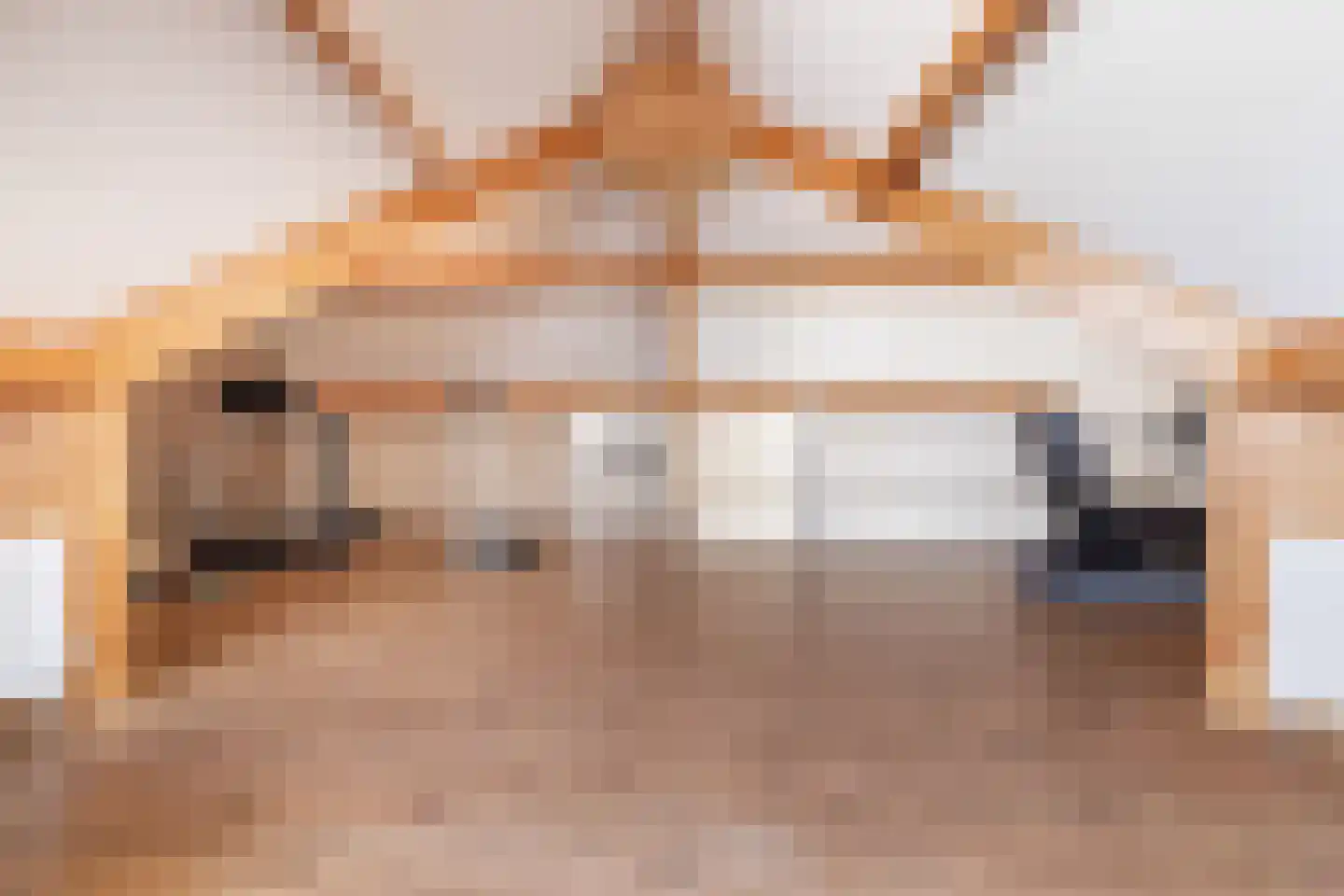 Laagstraat 46 Deursen-Dennenburg thumbnail 54