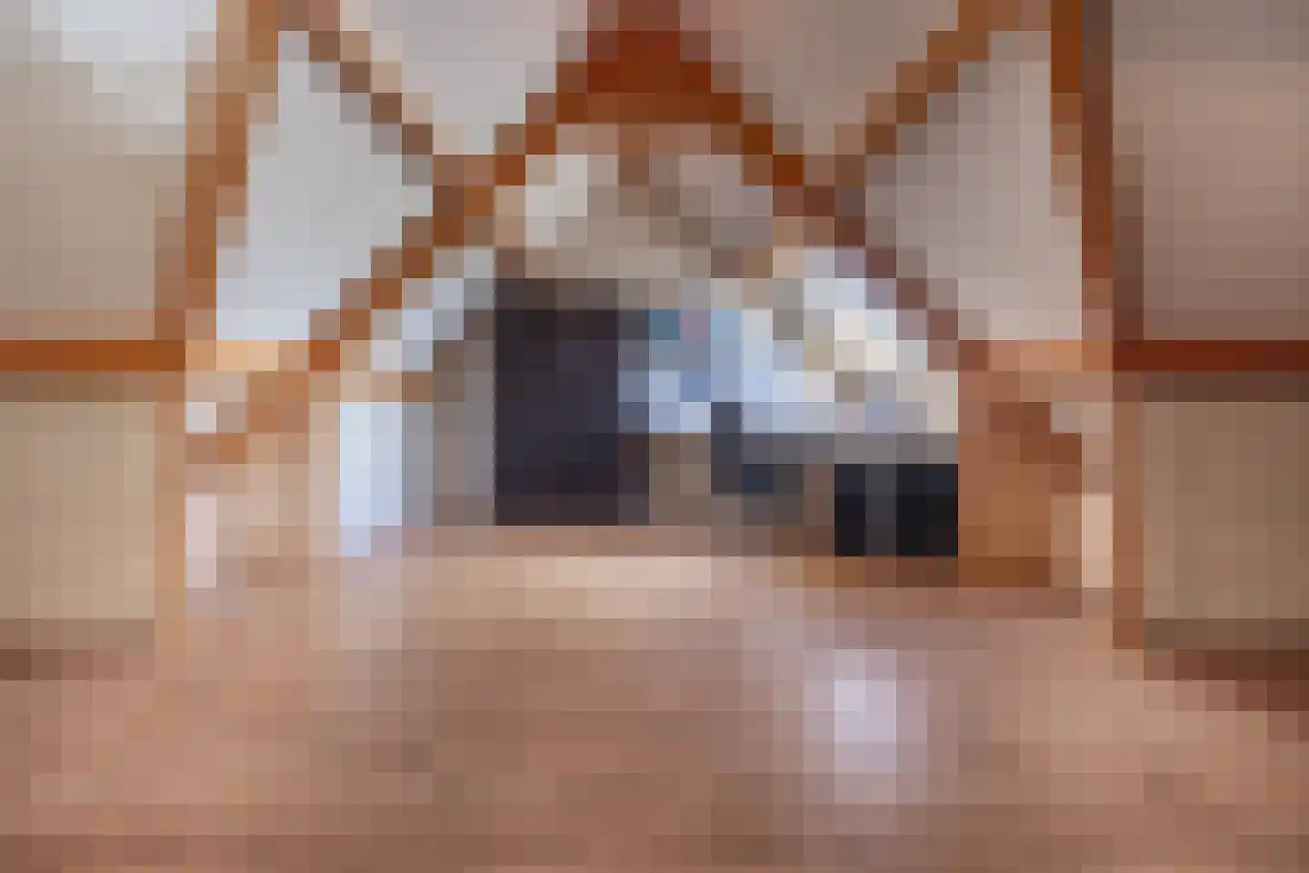 Laagstraat 46 Deursen-Dennenburg thumbnail 55