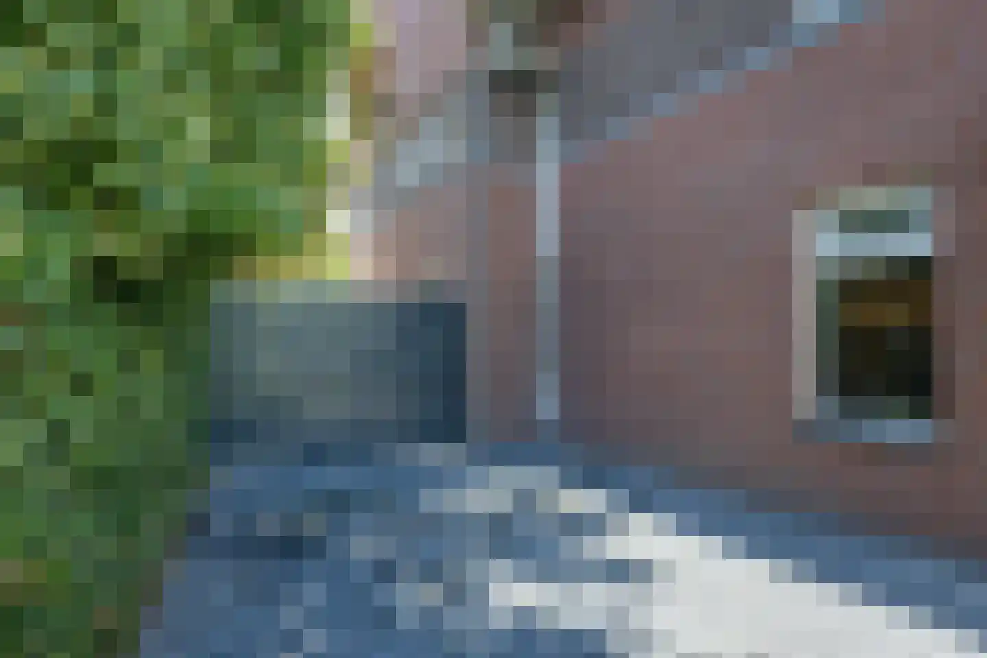 Laagstraat 46 Deursen-Dennenburg thumbnail 86