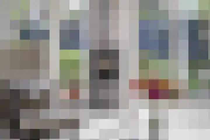 Laagstraat 46 Rijen thumbnail 12