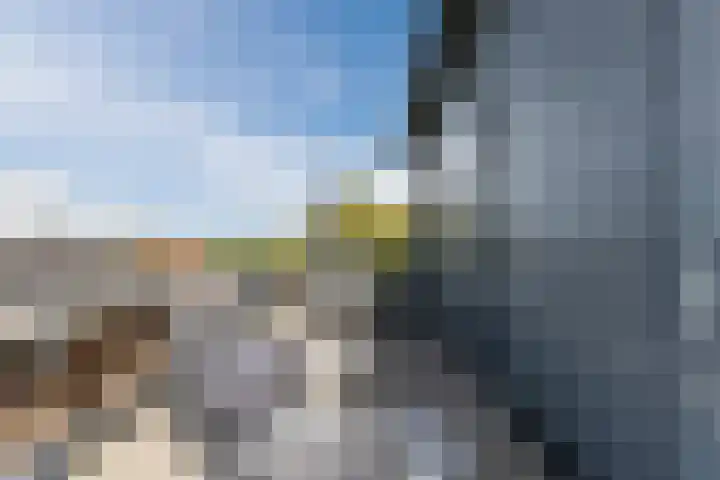 Laagstraat 46 Rijen thumbnail 37