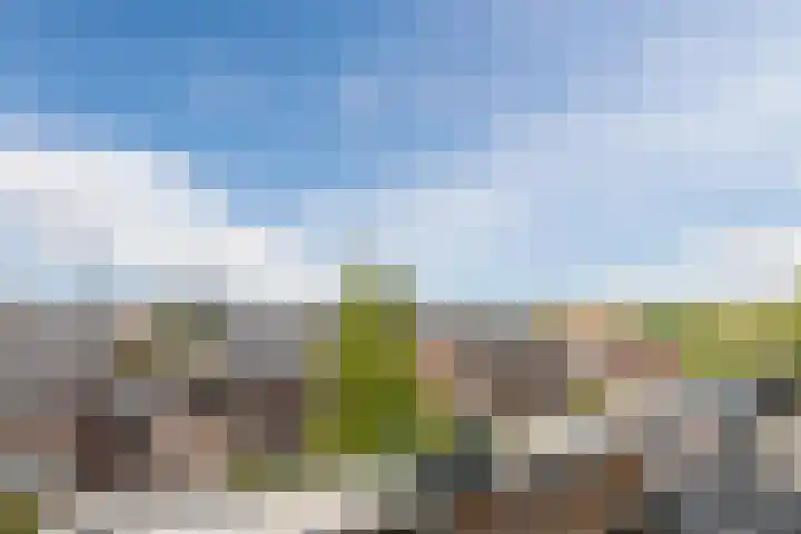 Laagstraat 46 Rijen thumbnail 38