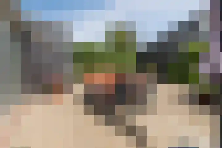 Laagstraat 46 Rijen thumbnail 40