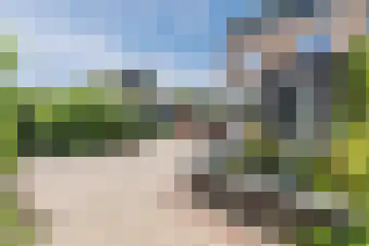 Laagstraat 46 Rijen thumbnail 42