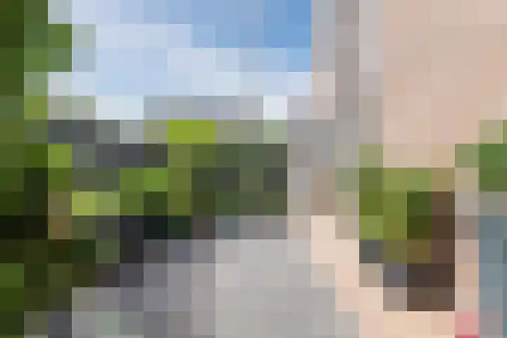 Laagstraat 46 Rijen thumbnail 43