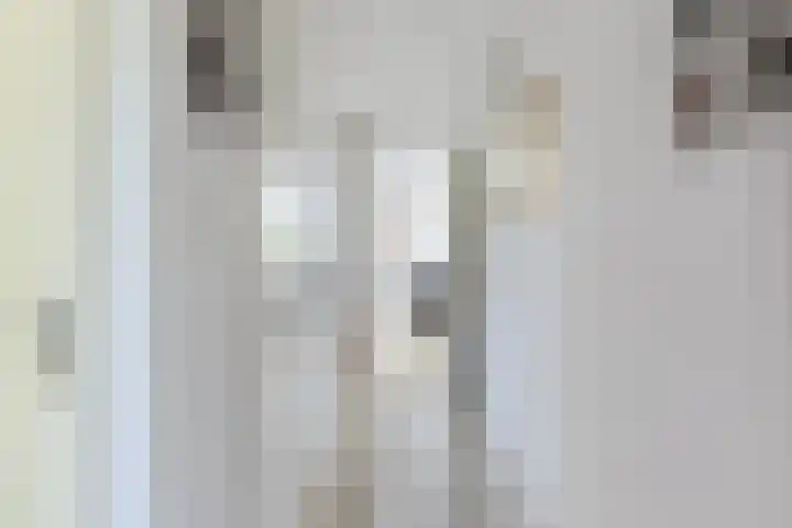Laagstraat 46 Rijen thumbnail 8