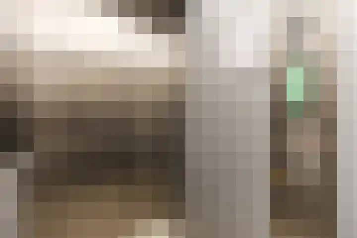 Laagstraat 5 J Rijen thumbnail 10