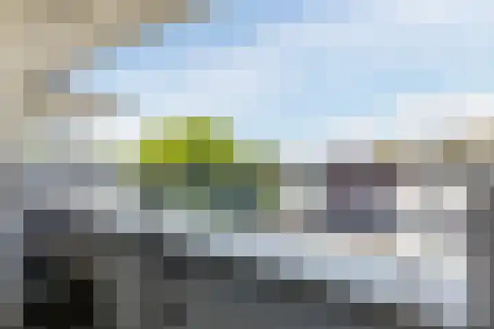 Laagstraat 5 J Rijen thumbnail 24