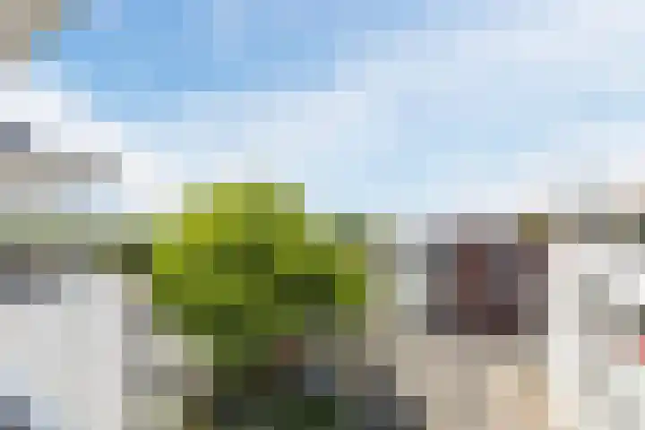 Laagstraat 5 J Rijen thumbnail 26