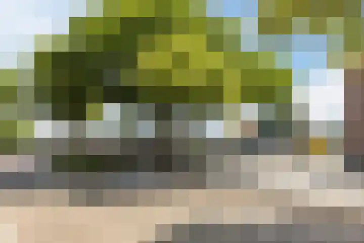 Laagstraat 5 J Rijen thumbnail 30