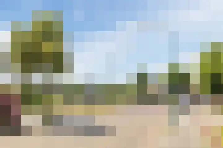 Laagstraat 5 J Rijen thumbnail 31