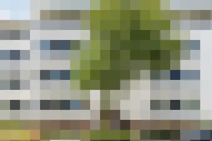 Laagstraat 5 J Rijen thumbnail 5