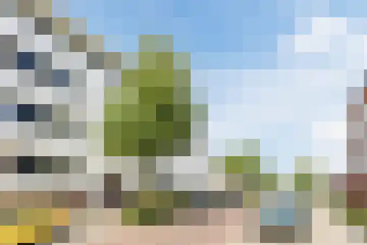 Laagstraat 5 J Rijen thumbnail 6
