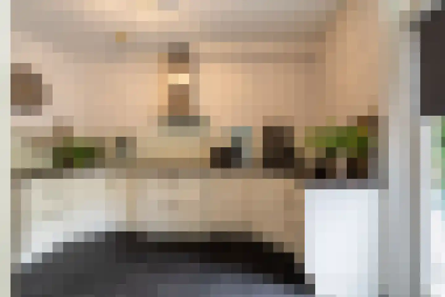 Laagstraat 7 D Rijen thumbnail 12