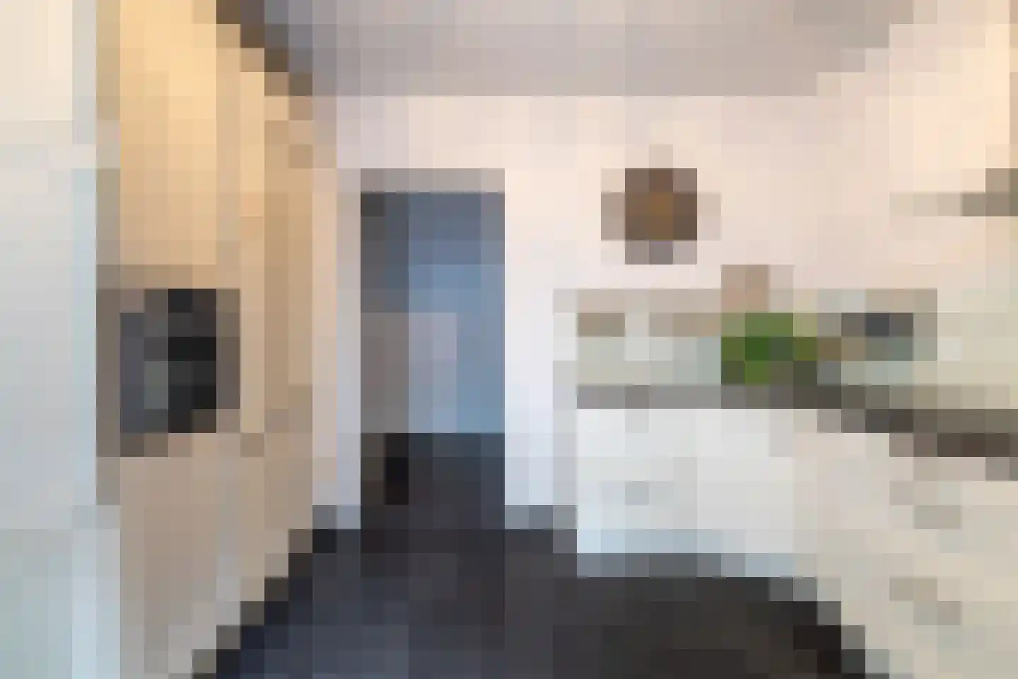 Laagstraat 7 D Rijen thumbnail 14