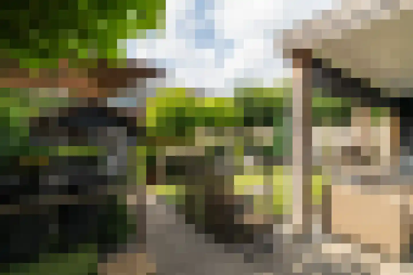 Laagstraat 7 D Rijen thumbnail 35