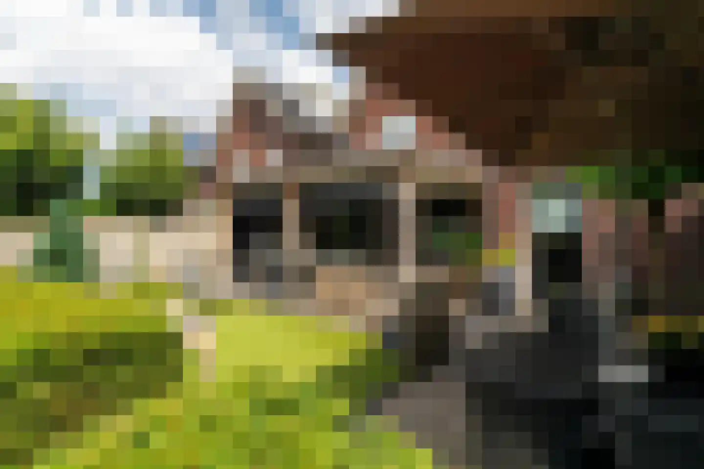Laagstraat 7 D Rijen thumbnail 36