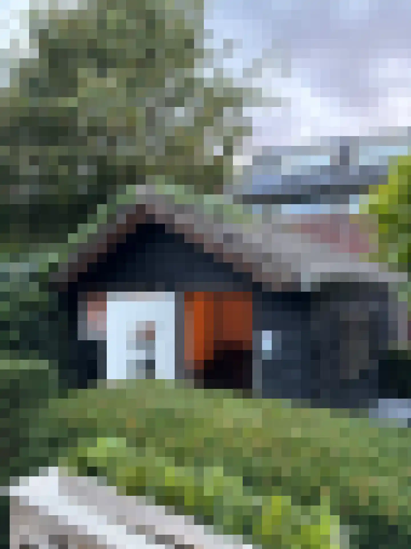 Laagstraat 7 D Rijen thumbnail 36