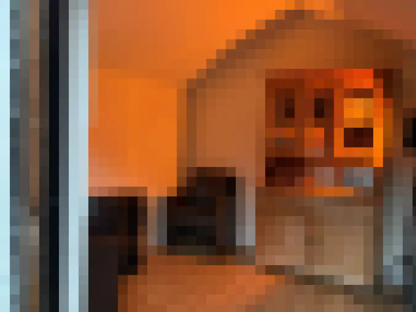 Laagstraat 7 D Rijen thumbnail 37