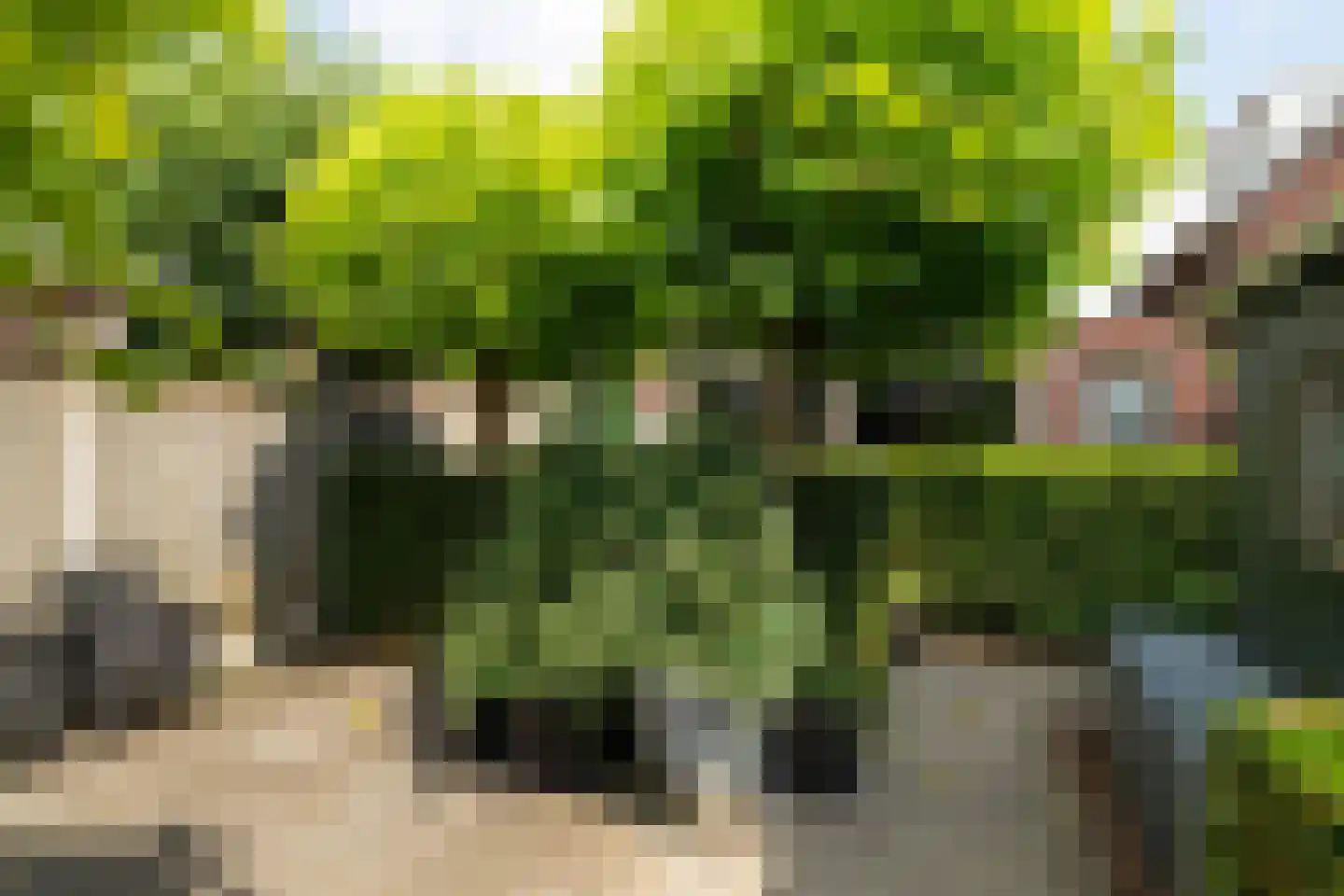 Laagstraat 7 D Rijen thumbnail 37