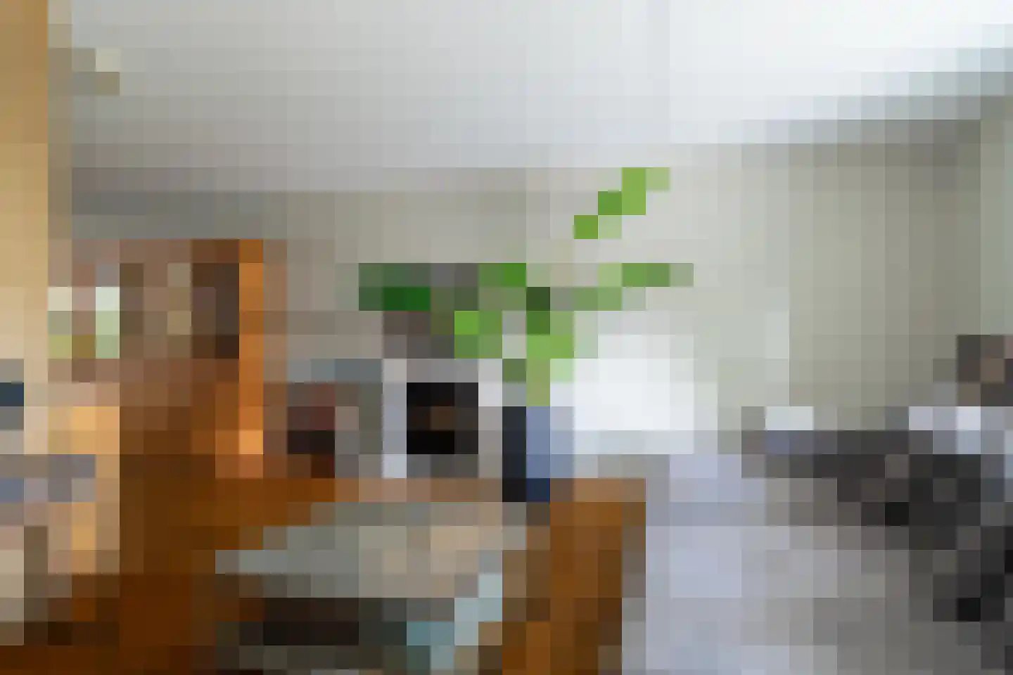 Laagstraat 7 D Rijen thumbnail 8