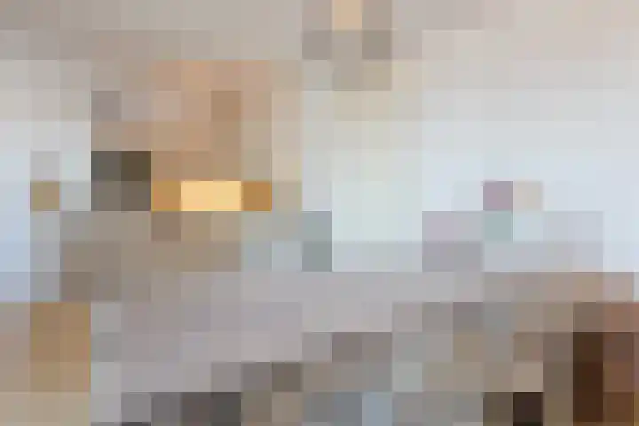 Laagstraat 8 F Rijen thumbnail 11