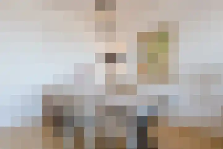 Laagstraat 8 F Rijen thumbnail 4