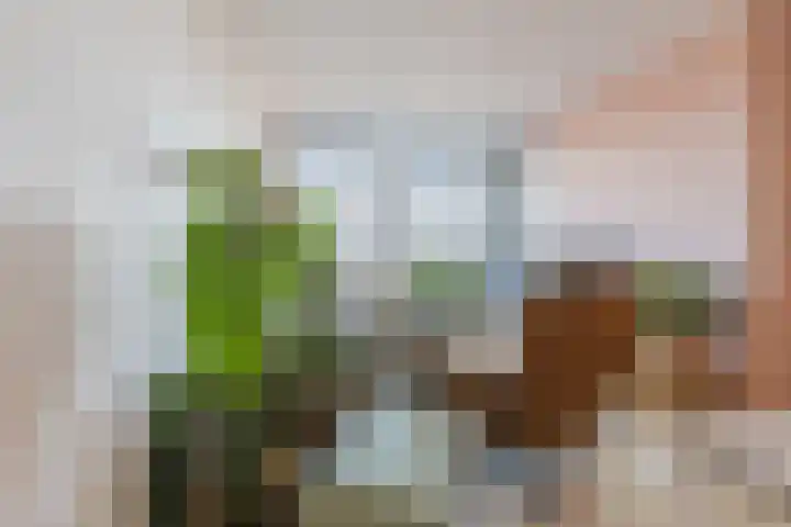 Laagstraat 8 F Rijen thumbnail 8