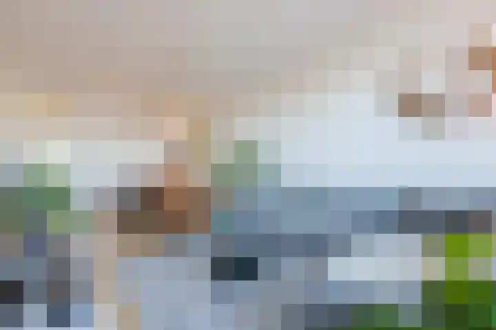 Laagstraat 8 F Rijen thumbnail 9