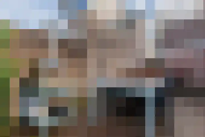 Laagstraat 91 Rijen thumbnail 21