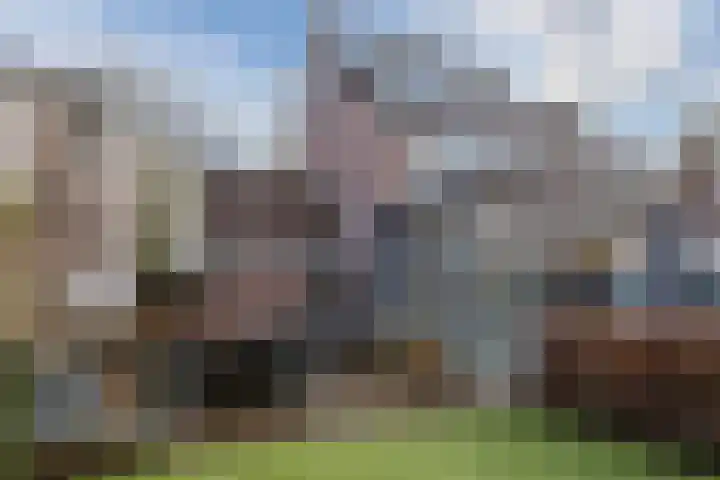 Laagstraat 91 Rijen thumbnail 22