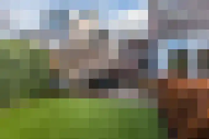 Laagstraat 91 Rijen thumbnail 24
