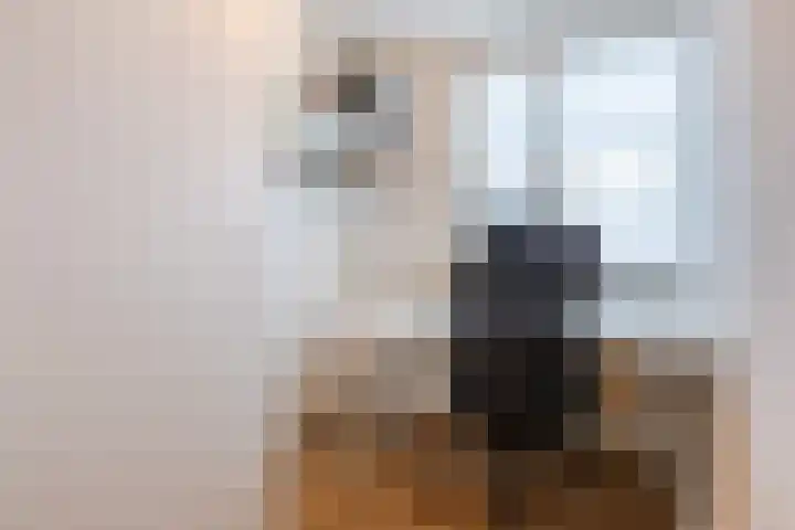 Laagstraat 91 Rijen thumbnail 34