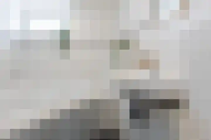 Laagstraat 91 Rijen thumbnail 38